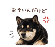 840918504