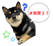 840918595