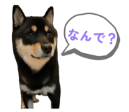 840918596