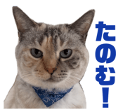 840919476