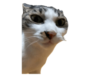 840919835