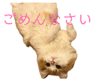 840920258