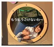 840920335