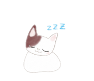 840920708