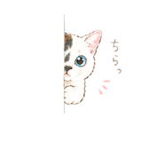 840920712