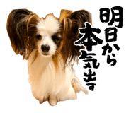 840920753