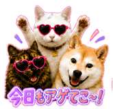 840921727