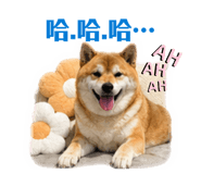 840922554