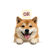 840922555