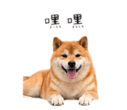 840922557