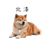 840922559