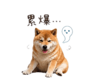 840922562