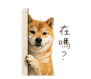 840922565