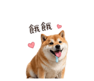840922570