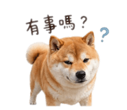 840922576