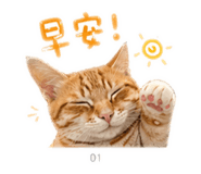 840922906