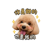 840923435