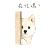 840923694