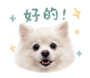 840923772