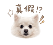 840923778