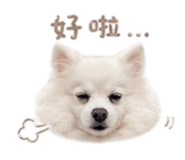 840923779