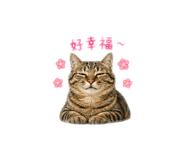 840924279