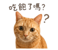 840924323
