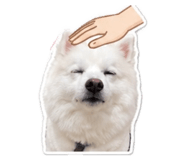 840924724