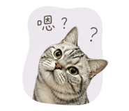840925535