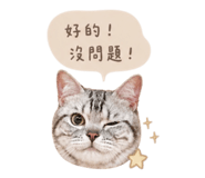840925537