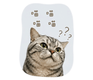 840925548