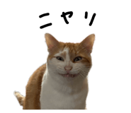 840925594