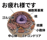 840927731