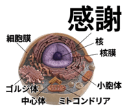 840927737