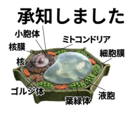 840927742
