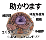 840927743