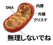 840927745