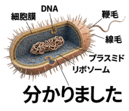 840927747