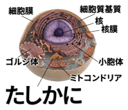 840927749
