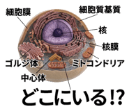 840927761