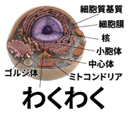 840927767