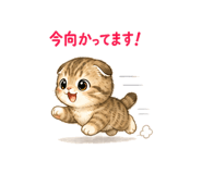 840928977