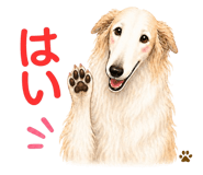 840931228