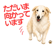 840931243