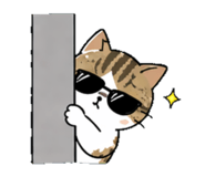 840931581