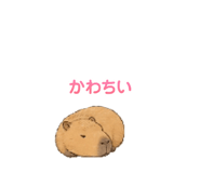 840931818