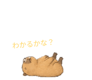 840931823