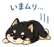 840932764