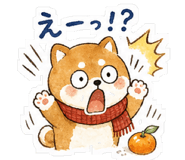 840932926