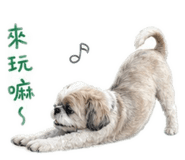 840933119